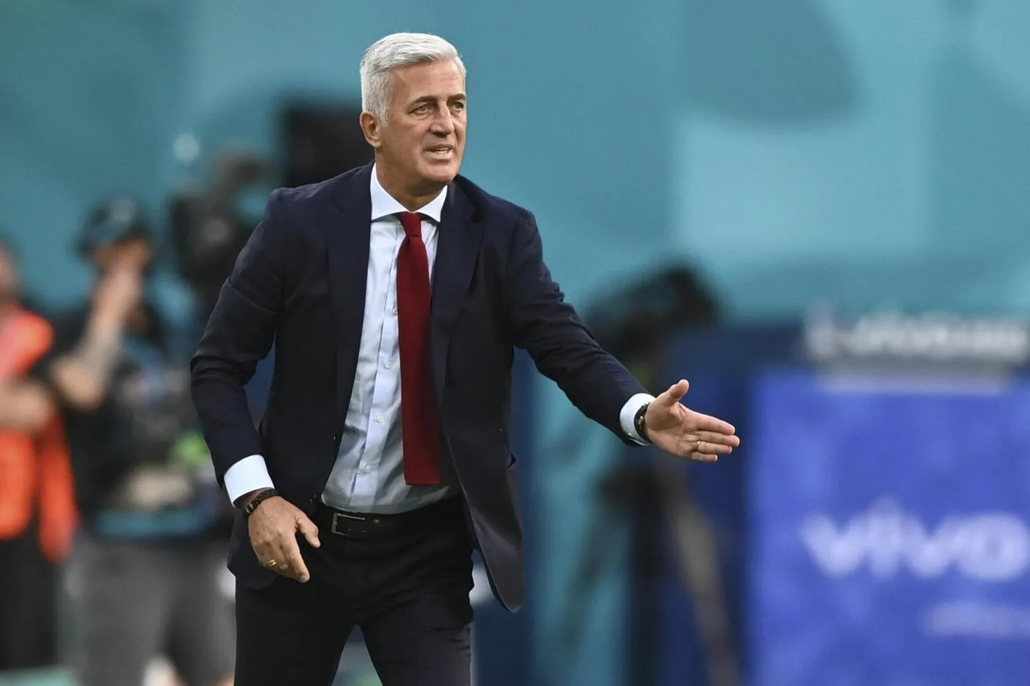 بيتكوفيتش مدرباً لمنتخب الجزائر