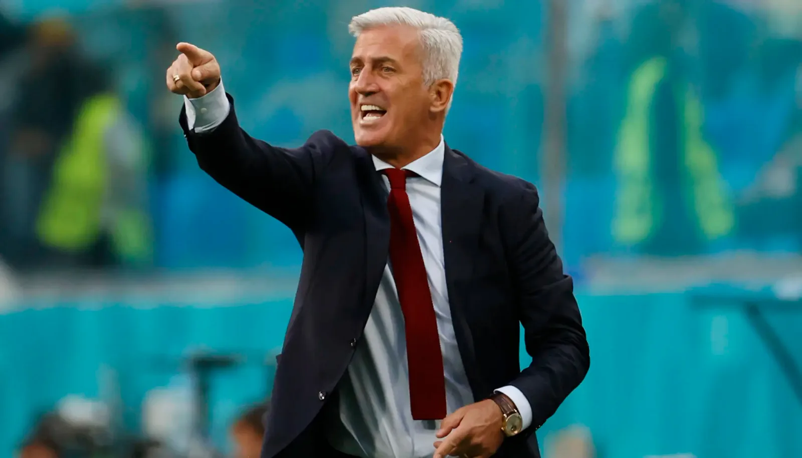 بيتكوفيتش مدرباً لمنتخب الجزائر